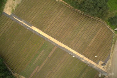 إنتاج وتوزيع مواد الحضانة بولندا 20